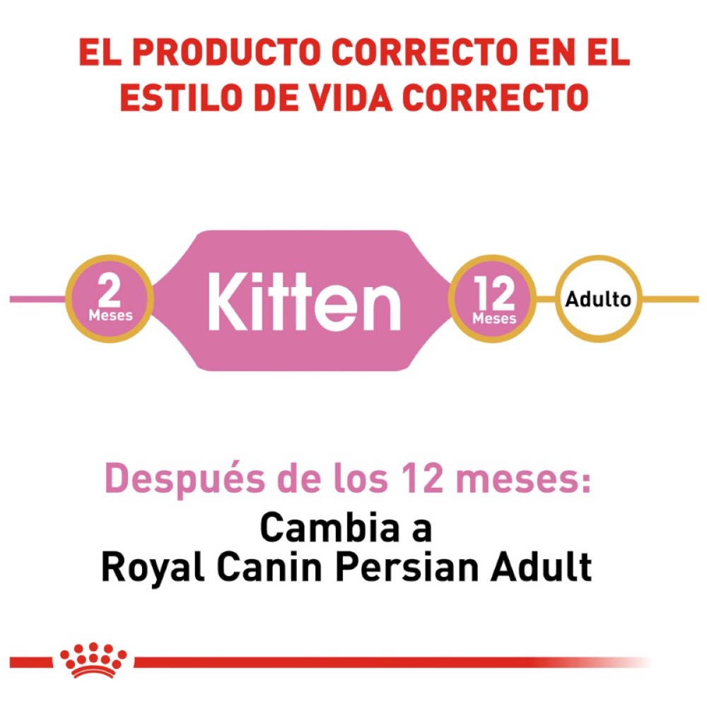 Royal Canin Persian Kitten 1.3 kg