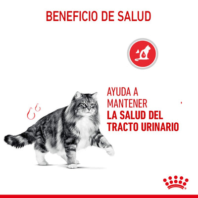 Lata Royal Canin Feline Urinary Care 85 gr - AniMALL