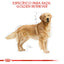 Royal Canin Golden Retriever Adulto 13.6 Kg.