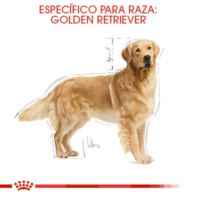 Royal Canin Golden Retriever Adulto 13.6 Kg - AniMALL