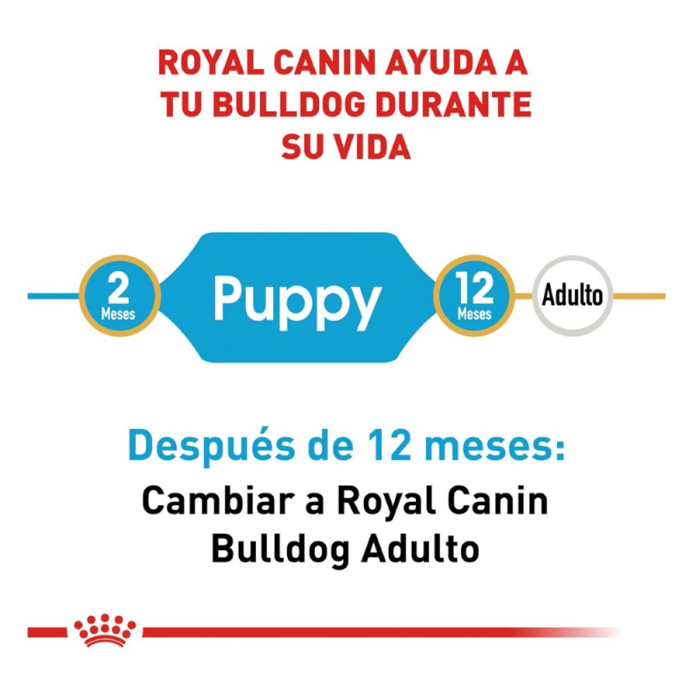 Royal Canin Alimento para Cachorro Bulldog 2.72 kg