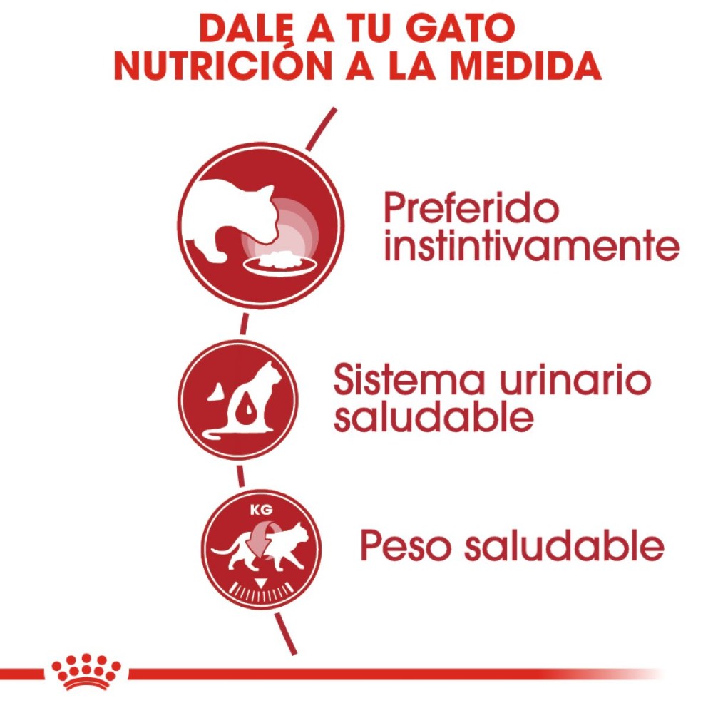 Lata Royal Canin Adult Instinctive Gato Loaf in Sauce 145 gr