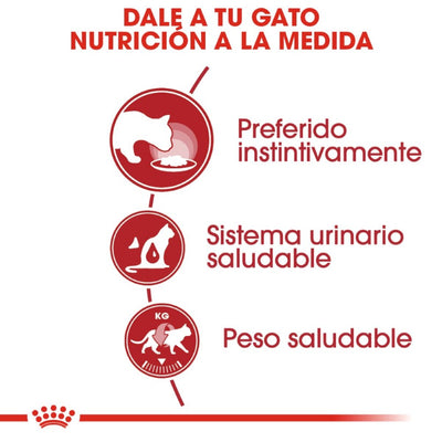 Lata Royal Canin Adult Instinctive Gato Loaf in Sauce 145 gr - AniMALL