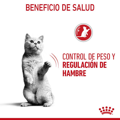 Lata Royal Canin Gato Appetite Control 85 gr - AniMALL