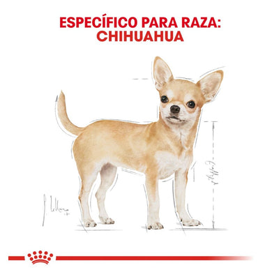 Royal Canin Adulto Chihuahua 1.1 kg - AniMALL