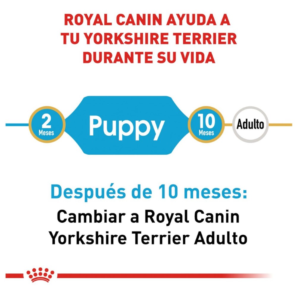 Royal Canin Alimento Seco para Perro Yorkshire Puppy 1 kg