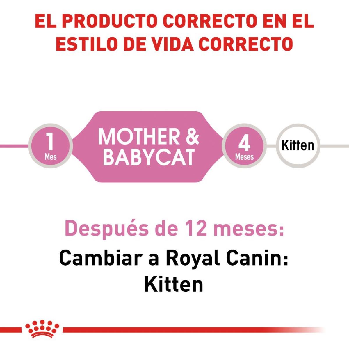 Royal Canin Mother and Babycat Alimento Gato Gatito 1.37 kg