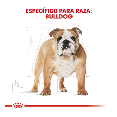 Royal Canin Adulto Raza Bulldog 13.6 kg