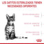 Royal Canin Alimento Seco Gato Kitten Esterilizado 1.14 kg