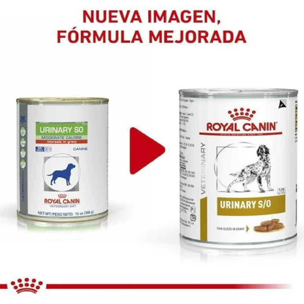 6 Latas Royal Canin Vet Urinary SO Moderate Calorie 355 gr