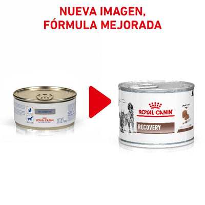 Lata Royal Canin Vet Perro y Gato Recovery 145 gr - AniMALL