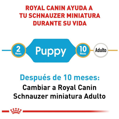 Royal Canin Perro Cachorro Mini Schnauzer 1.1 Kg - AniMALL