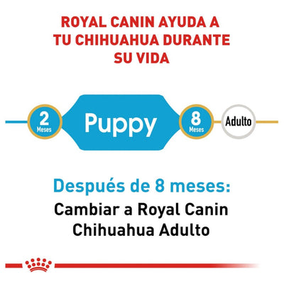 Royal Canin Perro Cachorro Chihuahua 1.1 Kg - AniMALL