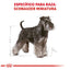 Royal Canin Perro Schnauzer Miniatura Adulto 4.5 kg