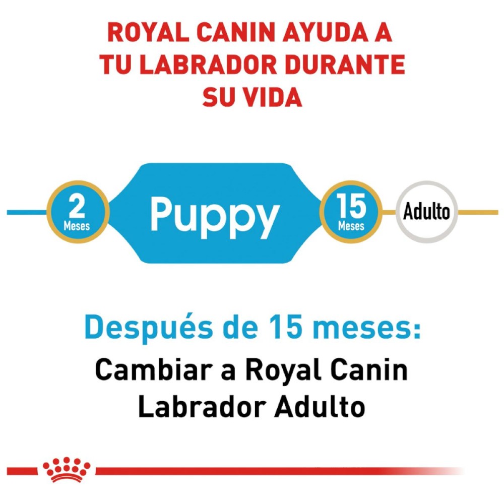 Royal Canin Cachorro Labrador Retriever 13.6 kg