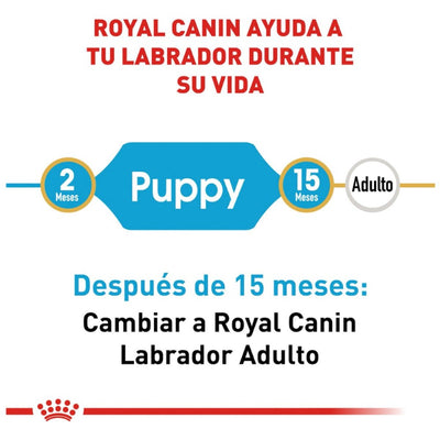 Royal Canin Cachorro Labrador Retriever 13.6 kg - AniMALL