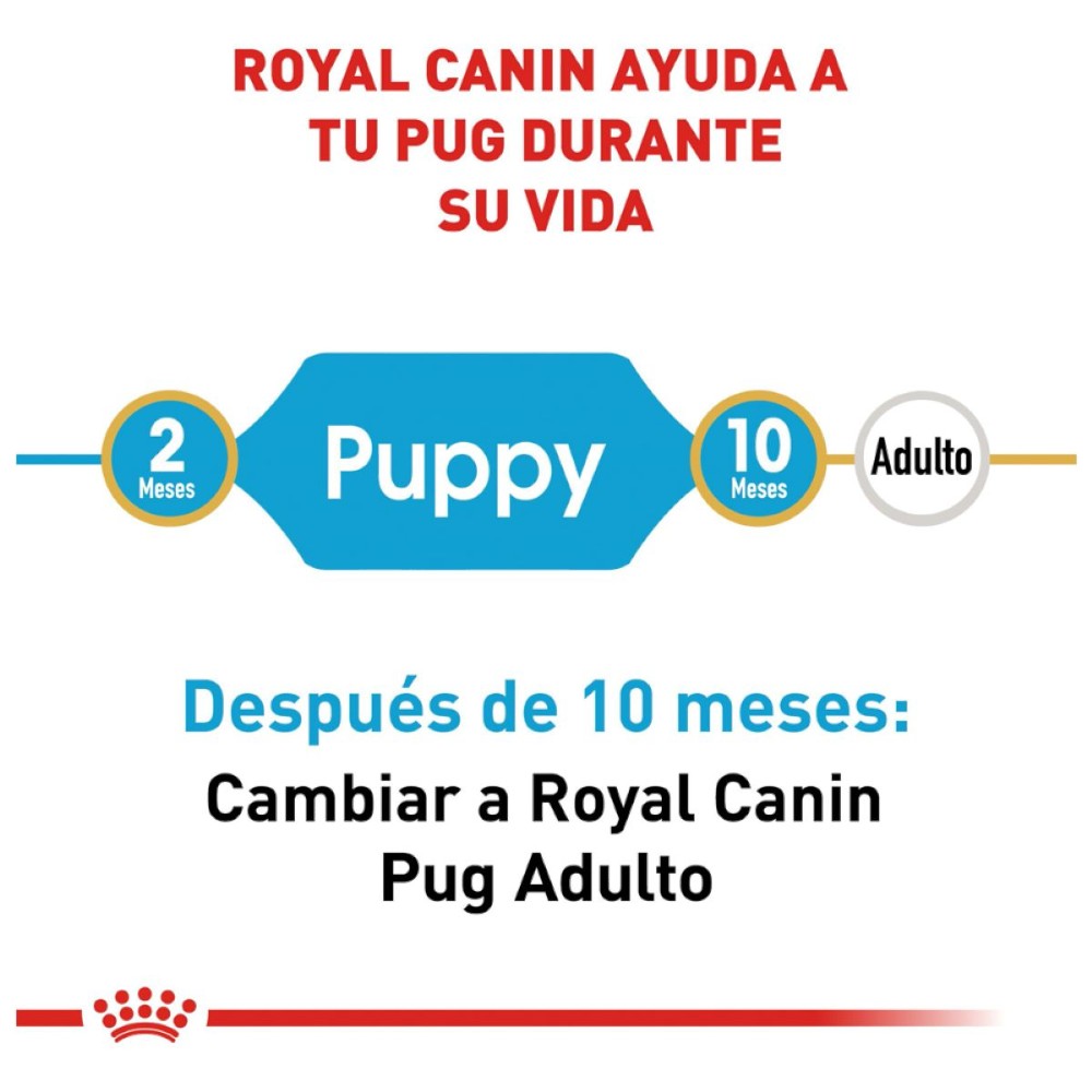 Royal Canin Pug Cachorro 1.1 kg