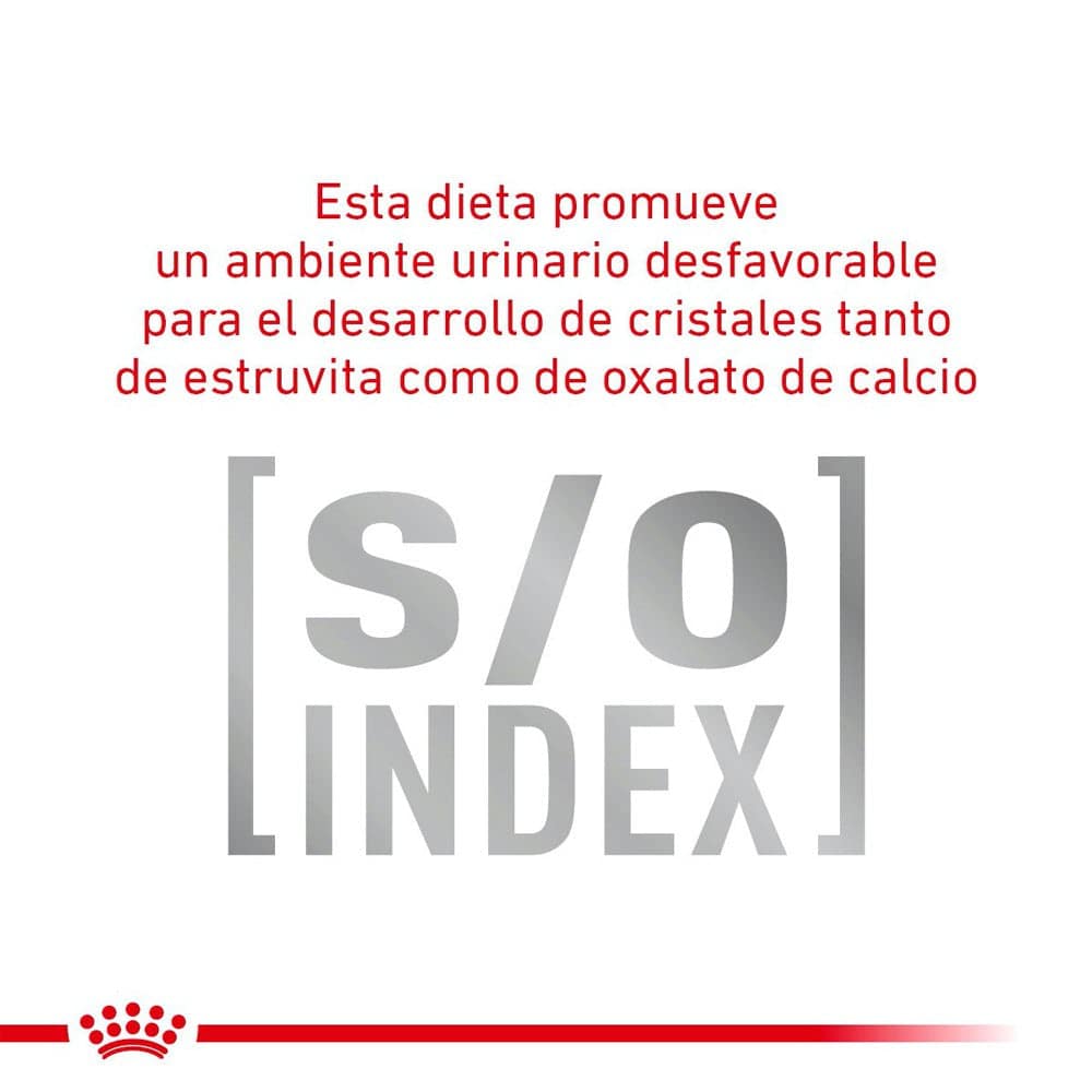 12 Latas Royal Canin Vet Urinary SO Moderate Calorie 355 gr - AniMALL