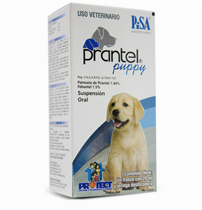 PRANTEL PUPPY