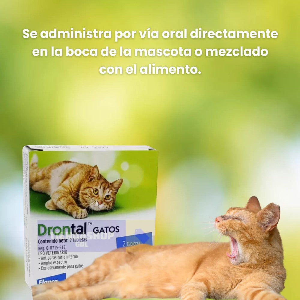 Drontal Gatos 2 Tabletas Saborizadas, Elanco