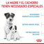 Royal Canin Small Starter Mother and Babydog 1.14Kg