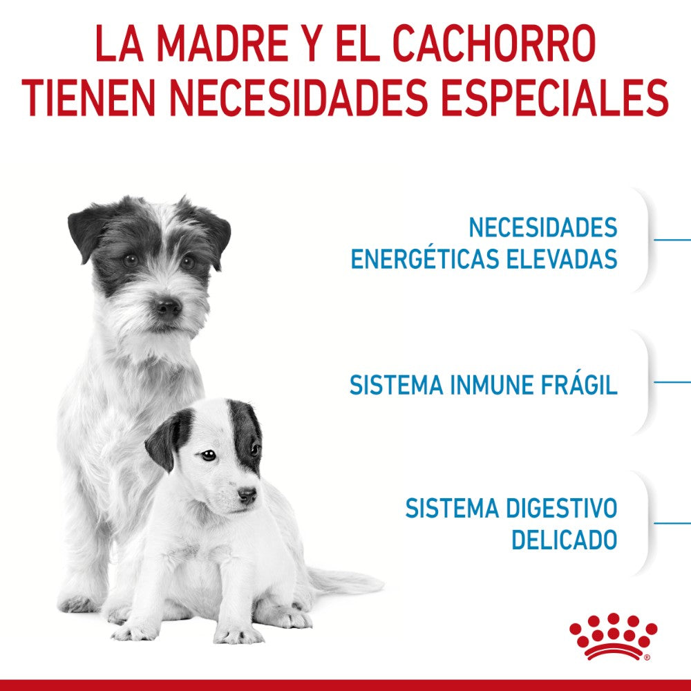 Royal Canin Small Starter Mother and Babydog 1.14Kg