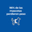 12 Latas Hill's Prescription Diet Metabolic, Pérdida y Mantenimiento del Peso, con Pollo para Perro, 369 g