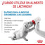 Royal Canin Baby Dog Milk 400 gr