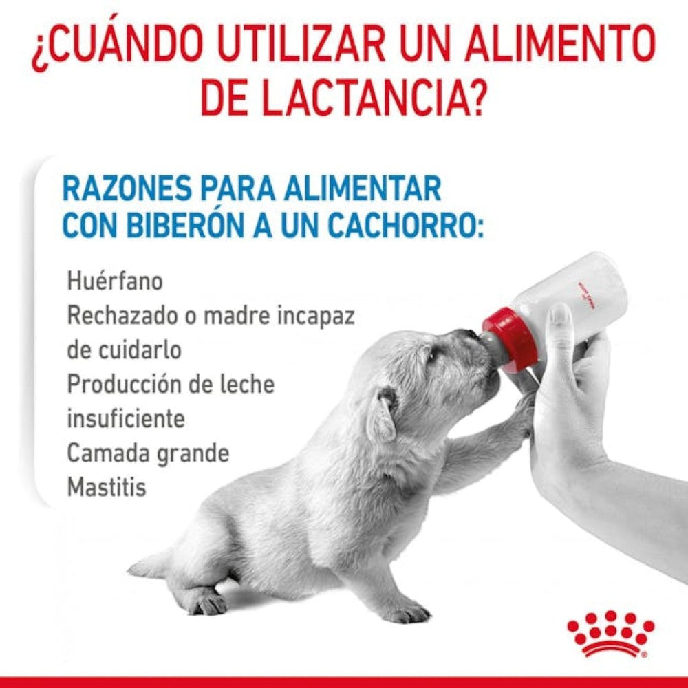 Royal Canin Baby Dog Milk 400 gr