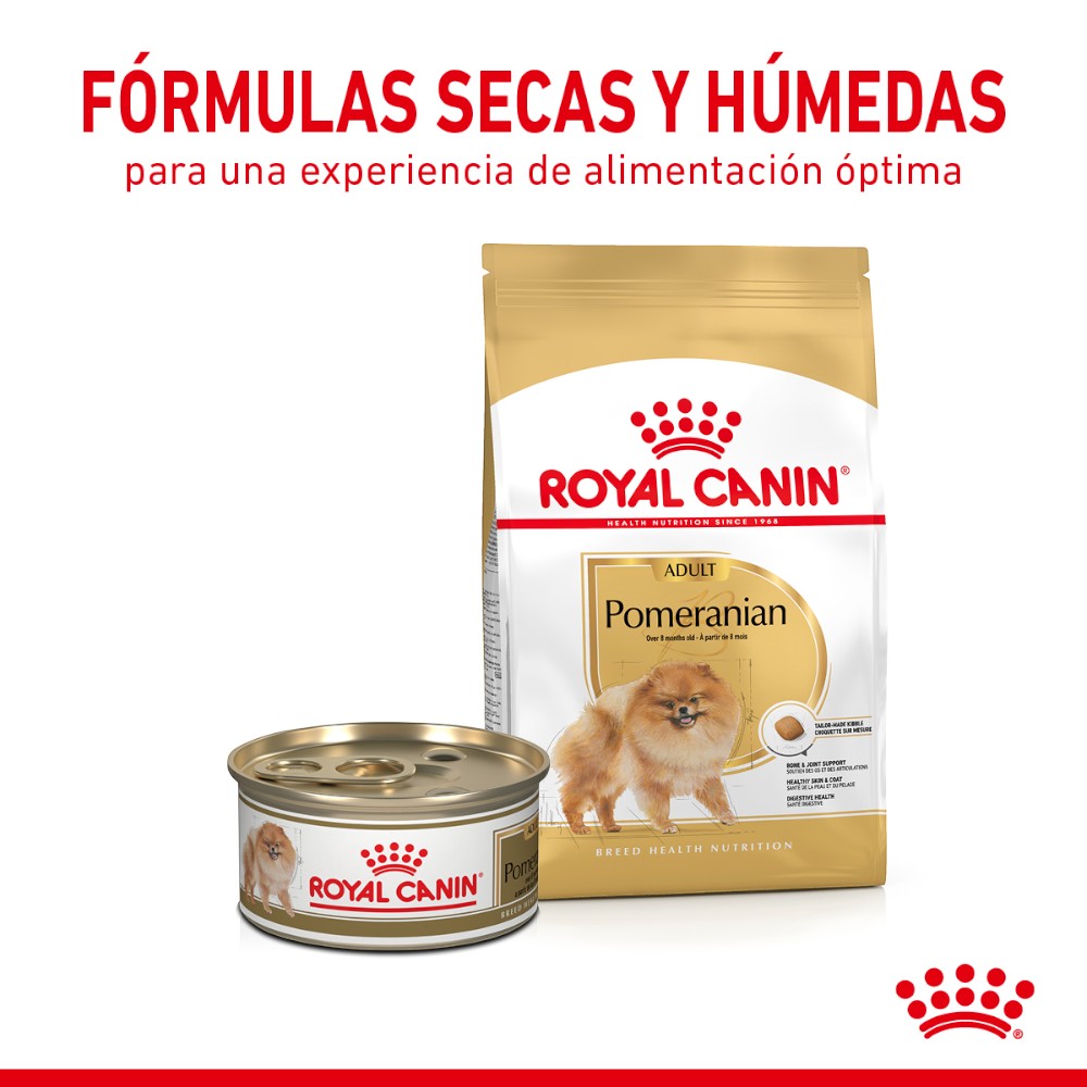 Royal Canin Adulto Pomeranian 4.5 kg