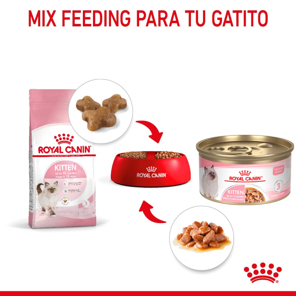 24 Latas Royal Canin Kitten Thin Slices in Gravy 85 gr