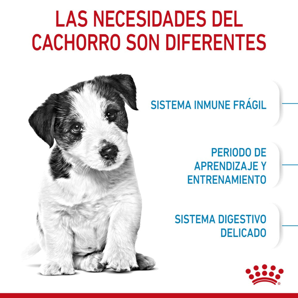 Royal Canin Alimento Seco Perro Puppy Small 341 gr