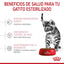 Royal Canin Alimento Seco Gato Kitten Esterilizado 1.14 kg