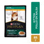 24 Pouches Gato Kitten de Pollo 85 gr.