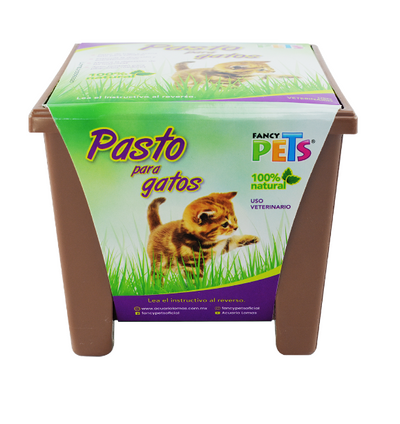 Pasto para Gatos