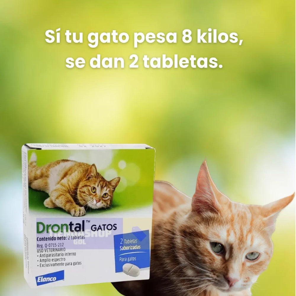 Drontal Gatos 2 Tabletas Saborizadas, Elanco