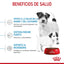 Royal Canin Small Starter Mother and Babydog 1.14Kg