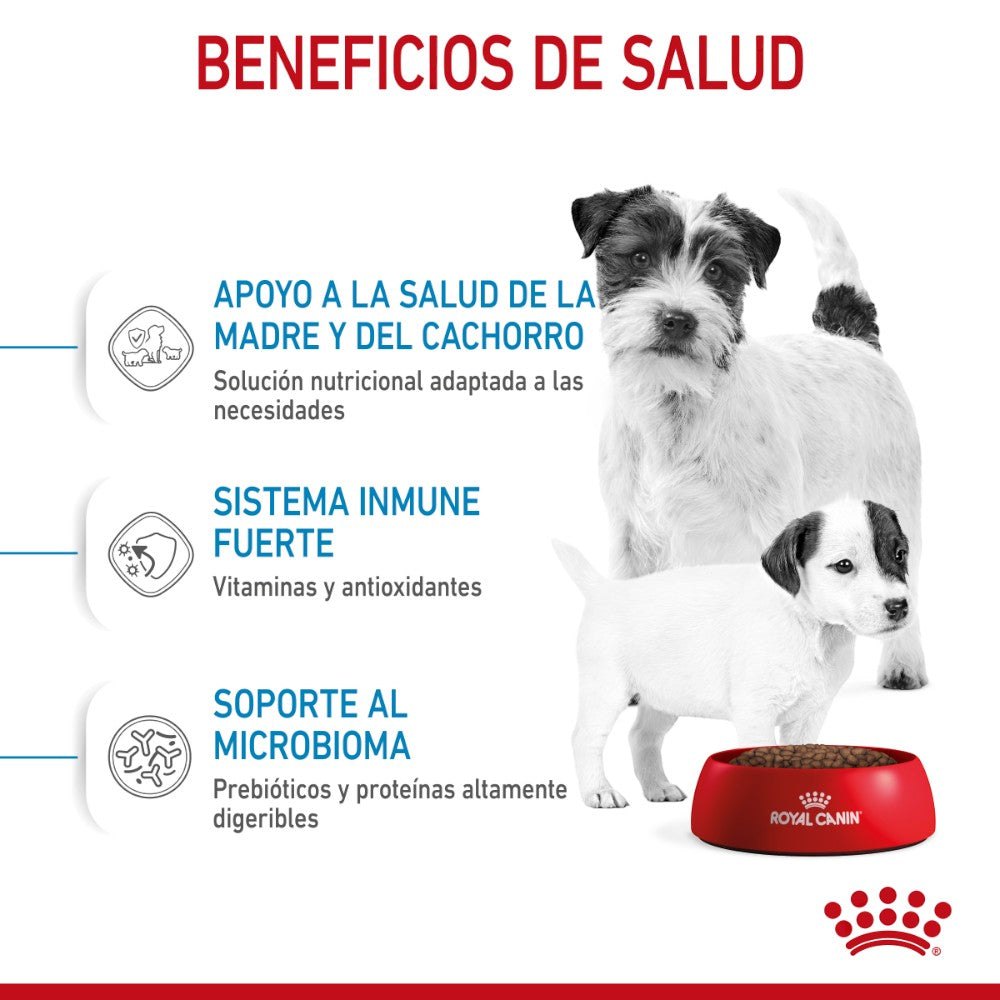 Royal Canin Small Starter Mother and Babydog 1.14Kg
