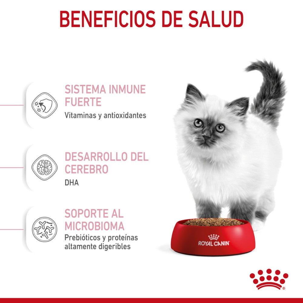 Royal Canin Gato Kitten 341 gr