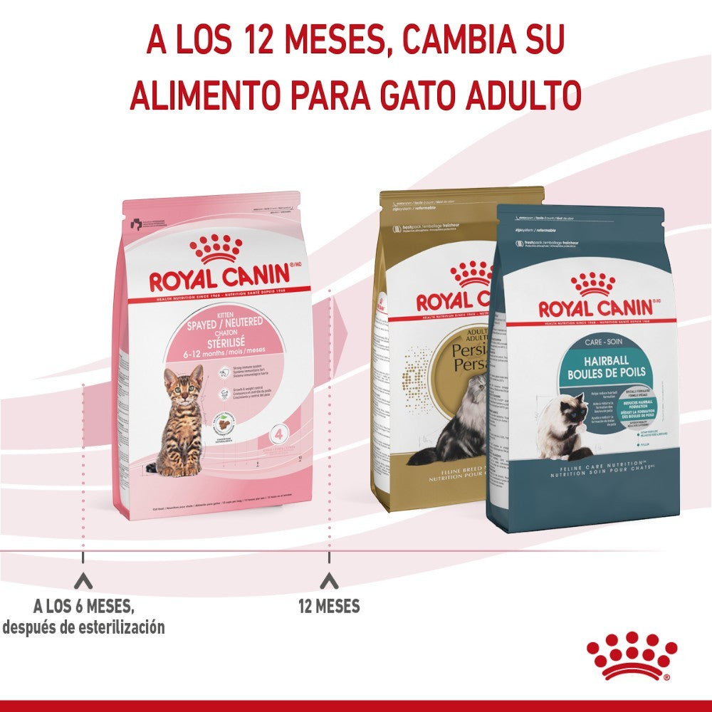 Royal Canin Alimento Seco Gato Kitten Esterilizado 1.14 kg