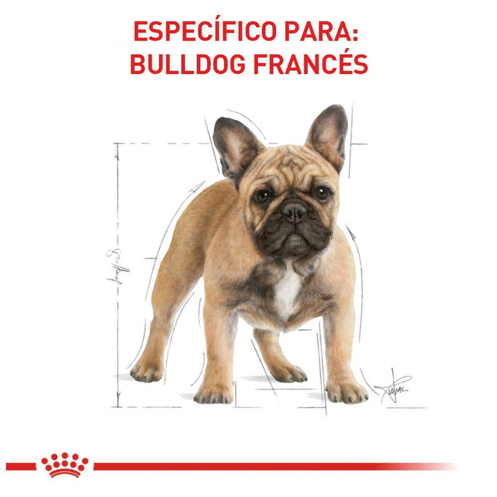 Royal Canin Alimento para Perro Bulldog Frances Adulto 7.72 kg