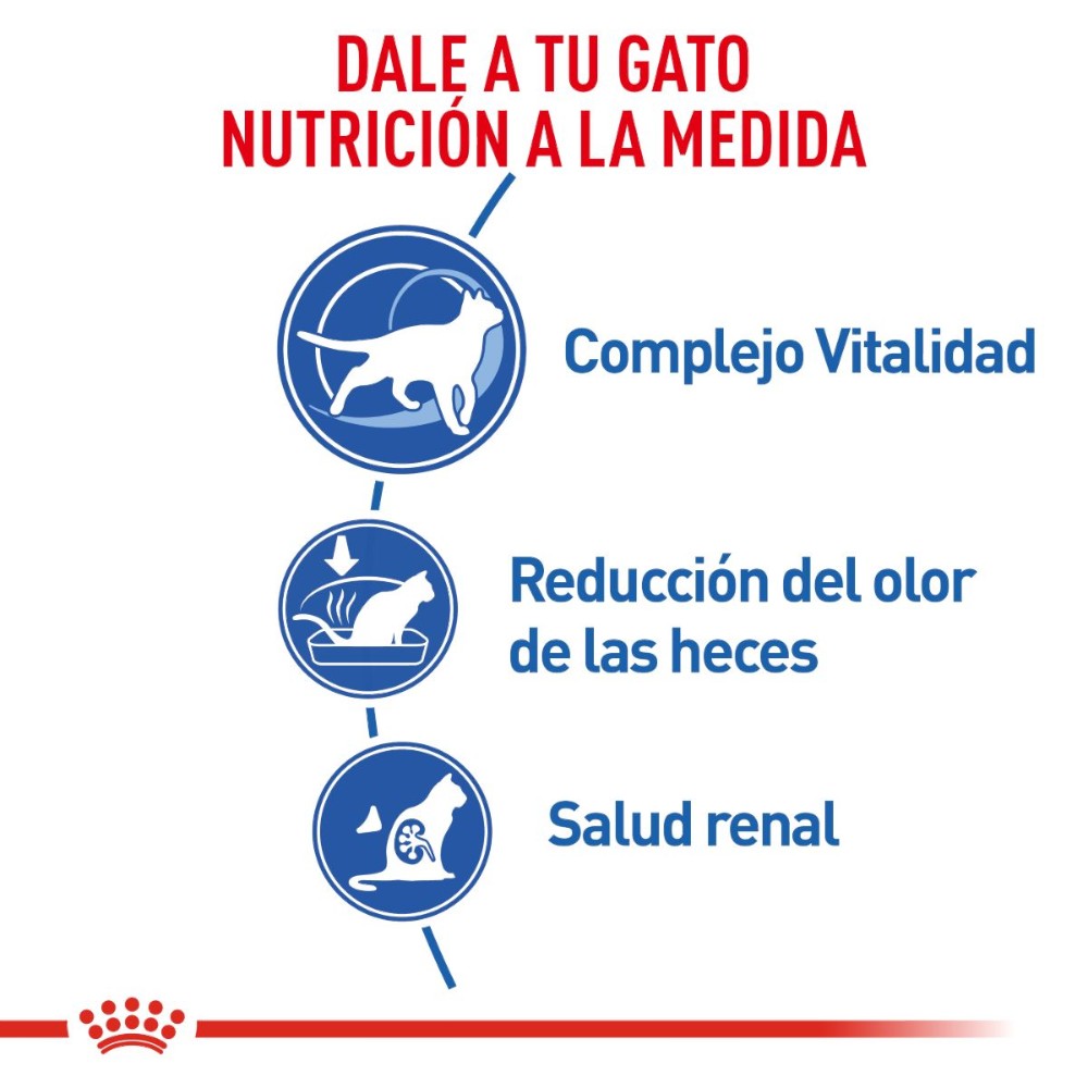 Royal Canin Alimento Seco Gato Senior Indoor 7+ 2.5 kg