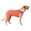 Original Body X2 (Heridas/Postoperatiorio) Talla 9 - AniMALL