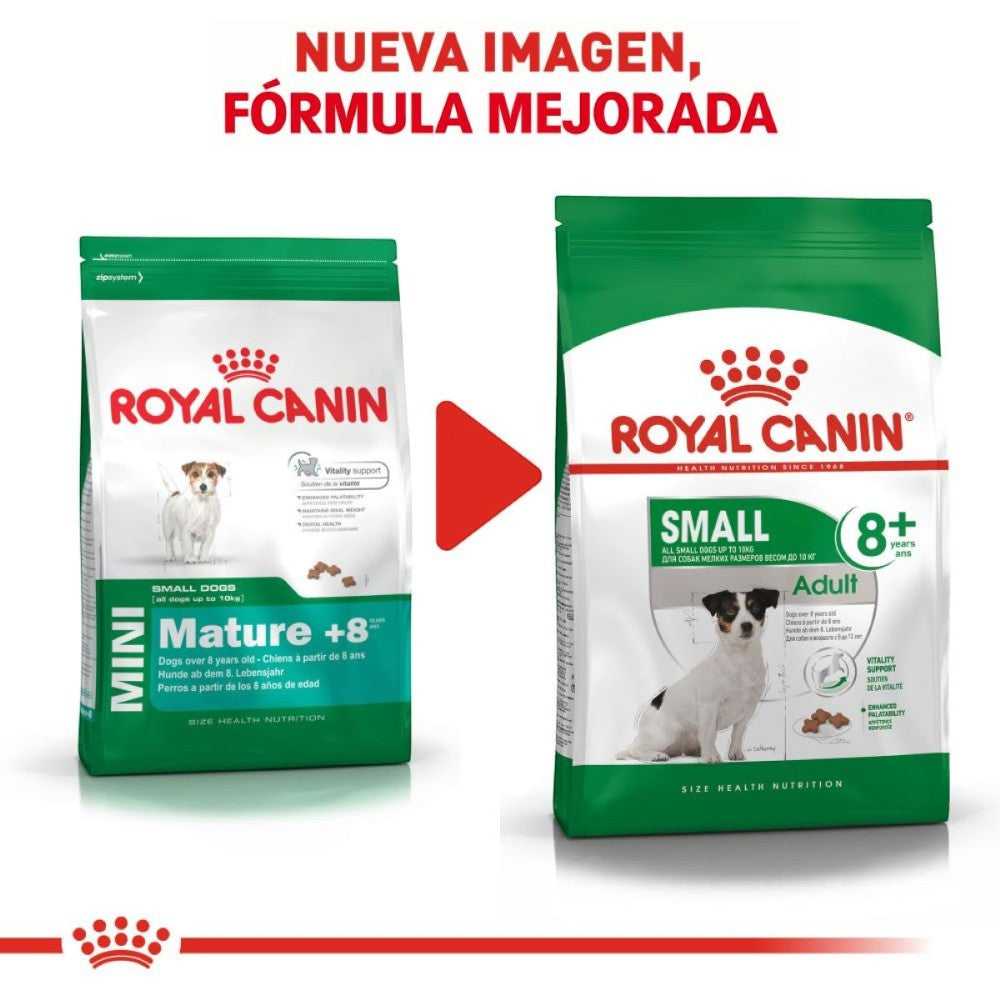 Royal Canin Small Adulto +8 1.1 kg