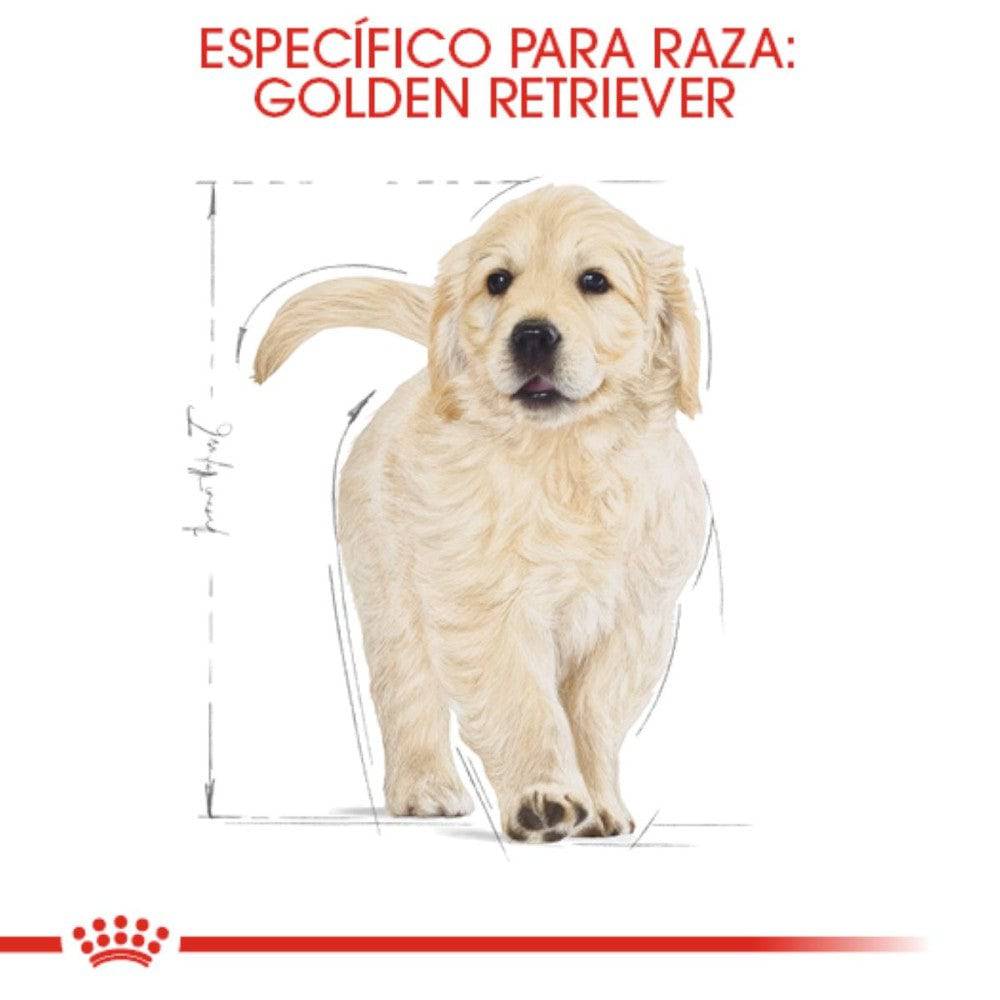 Royal Canin para Cachorro Golden Retriever 13.6 kg - AniMALL