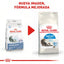 Royal Canin Alimento para Gato Adulto Indoor 1.3 kg