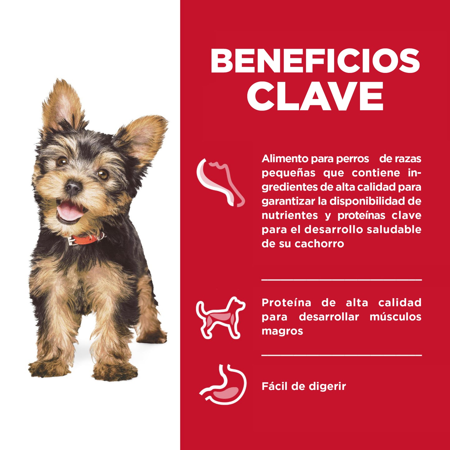 1 Tray Hill's SD Puppy Small and Mini Alimento Húmedo Hills Cachorro Raza Pequeña Pollo y Vegetales 99 gr