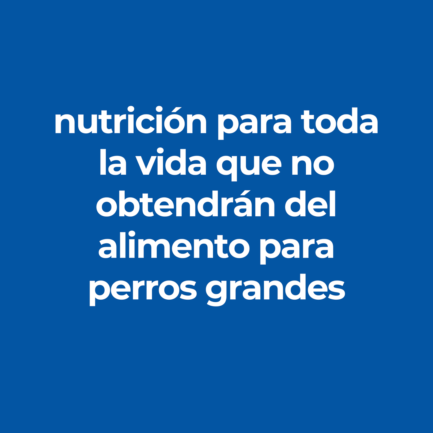 12 Tray Hill's SD Senior Small and Mini Alimento Húmedo Senior Raza Pequeña Pollo y Vegetales 99 gr