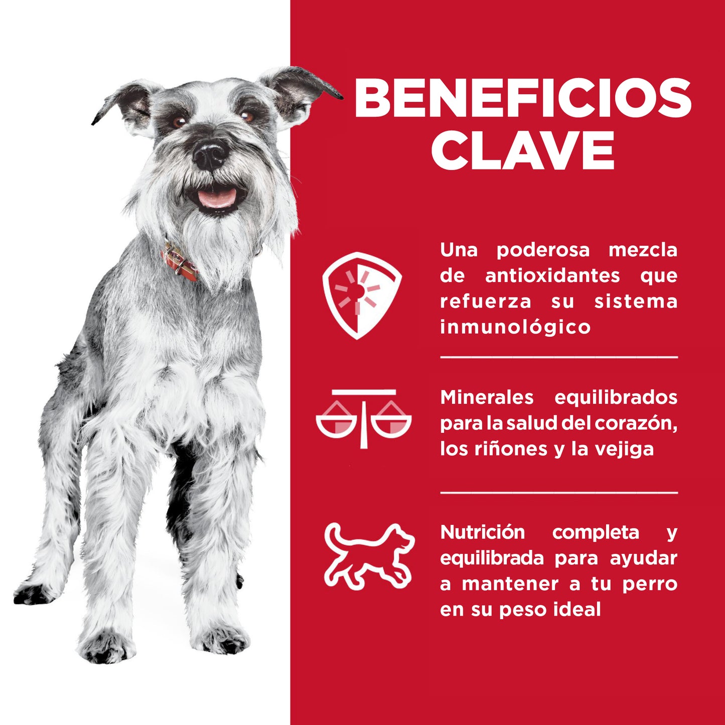 12 Tray Hill's SD Senior Small and Mini Alimento Húmedo Senior Raza Pequeña Pollo y Vegetales 99 gr