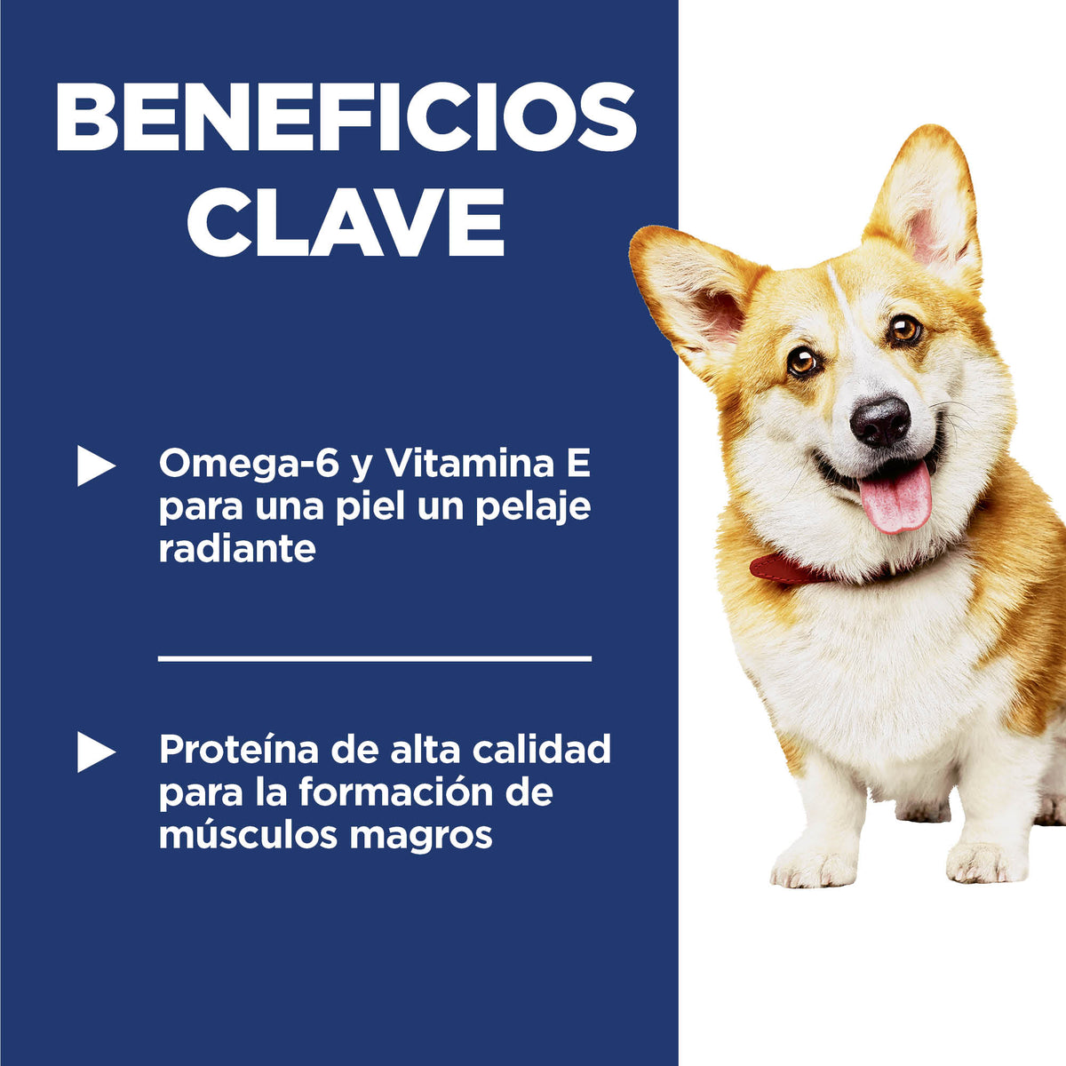 Hill's Science Diet Adulto Small Bites Sabor Pollo para Perro 6.8Kg